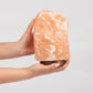 Postive Things Zoutlamp Himalayazout Dimbaar 2-3 KG