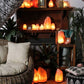 Postive Things Zoutlamp Himalayazout Dimbaar 2-3 KG