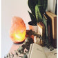 Postive Things Zoutlamp Himalayazout Dimbaar 2-3 KG